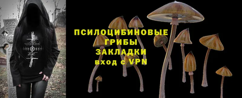 даркнет какой сайт  магазин продажи наркотиков  Печора  Псилоцибиновые грибы MAGIC MUSHROOMS 